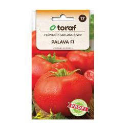 Toraf 0,1g Pomidor Szklarniowy Palava F1 mieszaniec Nasiona warzyw odmiana średnio wczesna pod osłony