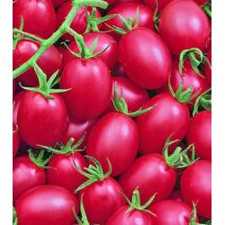 Toraf 0,3g Pomidor gruntowy Malinowy Kapturek Koktajlowy Nasiona warzyw Na balkony tarasy Dekoracyjny Słodki