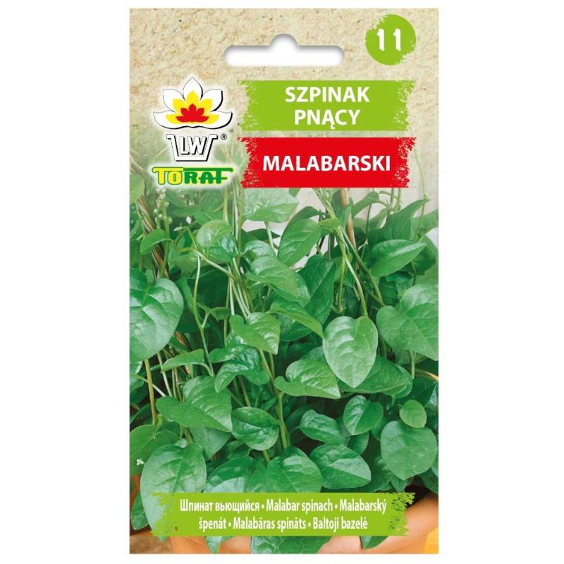 Toraf 0,5g Szpinak Pnący Malabarski Nasiona warzyw Roślina Pnąca Leczniczy Odżywczy