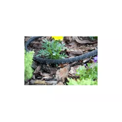 BRADAS 30m Wąż nawadniający AQUA - DROP 1/2" Kroplujący