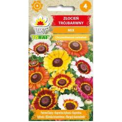 Toraf 0,4g Złocień Trójbarwny Nasiona kwiatów jednorocznych Rabatki kwiatowe Bukiety Kwiat cięty