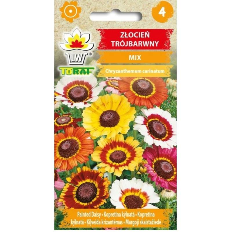 Toraf 0,4g Złocień Trójbarwny Nasiona kwiatów jednorocznych Rabatki kwiatowe Bukiety Kwiat cięty