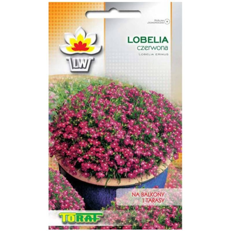 Toraf 0,1g Lobelia Czerwono Różowa Nasiona na Balkony Tarasy Roślina Jednoroczna Niska
