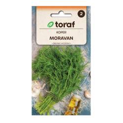 Toraf 5g Koper Ogrodowy Moravan Nasiona ziół Bardzo aromatyczny Odmiana średnio wczesna Dobrze plonuje