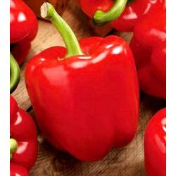 Toraf 0,5g Papryka Granova Czerwona Słodka Nasiona warzyw wysoka zawartość witaminy C odmiana gruntowa