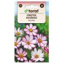 Toraf 0,5g Onętek Kosmos Picotee Nasiona kwiatów Dwubarwny Różowy z Obwódką na Rabaty do Ogrodu