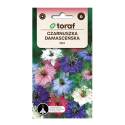 Toraf 2g Czarnuszka Damasceńska mix Nasiona kwiatów miododajnych długo kwitnie