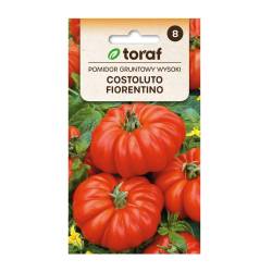 Toraf 0,3g Pomidor Costoluto Fiorentino Gruntowy Wysoki Nasiona warzyw Plenny Żebrowane Owoce