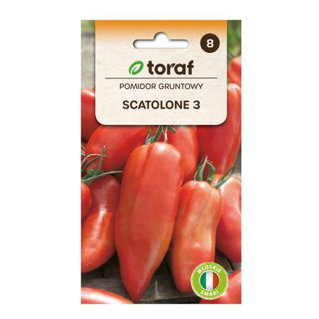 Toraf 0,5g Pomidor Scatolone 3 Gruntowy Wysoki Nasiona warzyw Cylindryczne Stożkowate Owoce na Przetwory