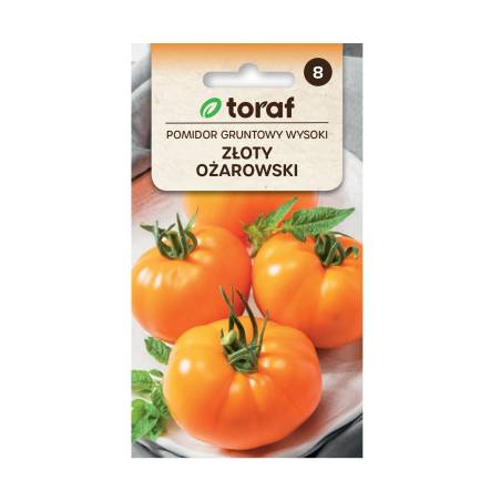 Toraf 0,3g Pomidor Złoty Ożarowski Nasiona warzyw Duże Gładkie Słodkie Pomarańczowe Owoce