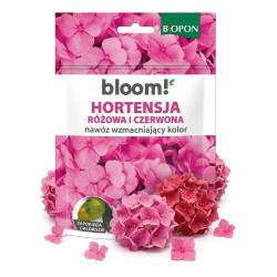 Biopon 200g Bloom! Hortensja Różowa i Czerwona Nawóz rozpuszczalny Wzmacnia kolor Wspomaga kwitnienie Zapobiega chlorozie