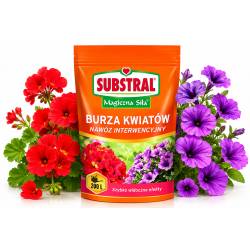 Substral 200 g Magiczna Siła Burza kwiatów nawóz do pelargonii i surfinii