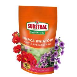 Substral 200 g Magiczna Siła Burza kwiatów nawóz do pelargonii i surfinii