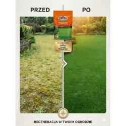 Substral 350 g Magiczna Siła Nawóz regenerator do trawnika Zielony dywan Gęsta darń