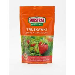 Substral 350 g Magiczna Siła Nawóz interwencyjny truskawka poziomka szybko widoczne efekty