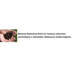 Ekodarpol 0,5l Biohumus Extra Pelargonia produkt hodowli dżdżownic