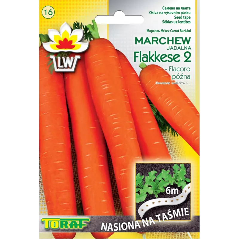 Toraf Marchew FLAKKESE 2 taśma 6m Bardzo plenna