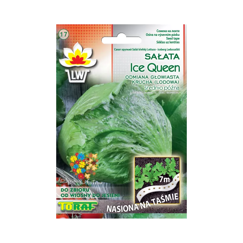 Toraf Sałata Lodowa siewna głowiasta krucha Ice Queen Taśma 7m