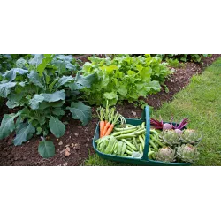 Ekodarpol 1l Biohumus Extra do warzyw nawóz użyźnia glebę