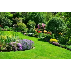 Iława 1 l Biohumus Pro uniwersalny nawóz ekologiczny do kwiatów warzyw trawników