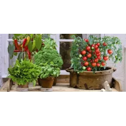 Ekodarpol 20ml Biohumus Extra Uniwersalny nawóz w płynie kwiaty zioła BIO EKO koncentrat