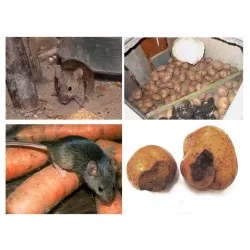 ABC 140g Granulat na szczury i myszy skuteczny mumifikuje trutka