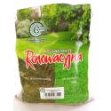CNW 1kg Trawa Renowacyjna nasiona trawnik regenerator dosiewka