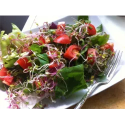 Toraf 20g Rzodkiewka Nasiona kiełków na kiełki rzodkiewki