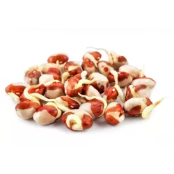 Toraf 50g Fasola Adzuki Nasiona Kiełki zamiast mięsa kiełkownica Źródło białka