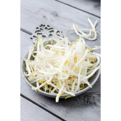 Toraf 50g Fasola Mung nasiona na kiełki wyjątkowo smaczna kiełkownica