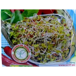 Toraf 20g Rzodkiewka Nasiona kiełków na kiełki rzodkiewki