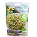 Toraf 10g Brokuł Bio-Organic Nasiona ekologiczne na kiełki kiełków brokuła