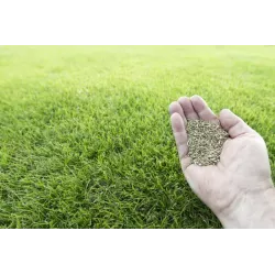 Ekodarpol 5kg Trawa Dekoracyjna nasiona mieszanka trawnikowa trawnik ozdobna wolno rosnąca 200m2