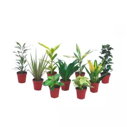 Ekodarpol 0,5l Biohumus do kwiatów zielonych poprawia chłonność podłoża