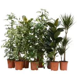 Ekodarpol 0,5l Biohumus do kwiatów zielonych poprawia chłonność podłoża