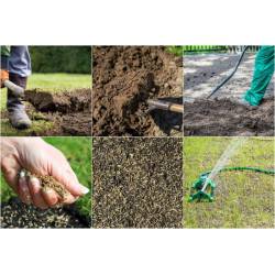 Rolimpex 0,2kg Trawa Nasiona z Iławy Trawnik Uniwersalny Wsiewka do Ogrodowego Trawnika