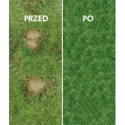 CNW 1 kg Trawa Renowacyjna regeneracja  trawnika dosiewka nasion