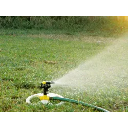 CNW 1 kg Trawa Renowacyjna regeneracja  trawnika dosiewka nasion