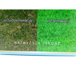 CNW 1 kg Trawa Renowacyjna regeneracja  trawnika dosiewka nasion