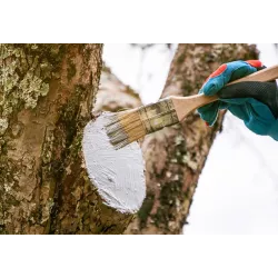 Acrylmed 125 g  Maść ogrodnicza zabezpiecza drewno i korę opatrunek na rany