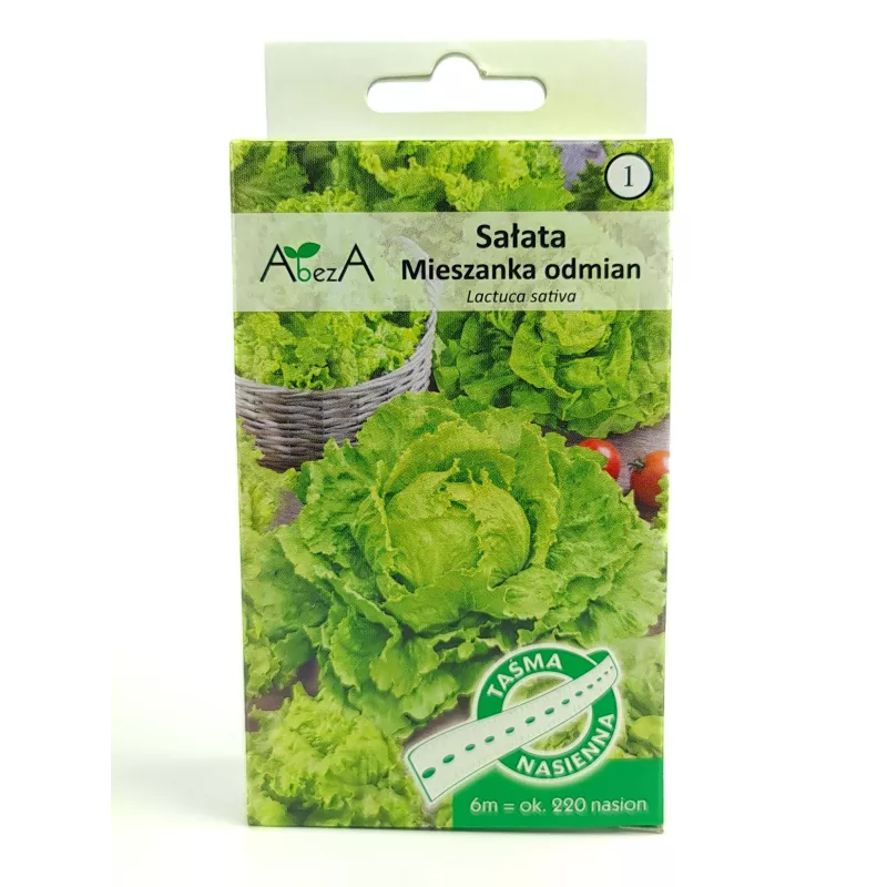 AbezA Sałata Mieszanka odmian Taśma nasienna 6m karton masłowa krucha