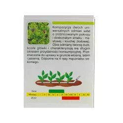 AbezA Sałata Mieszanka odmian Taśma nasienna 6m karton masłowa krucha