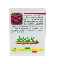 AbezA Burak ćwikłowy Czerwona Kula Taśma nasienna 6m karton duża zawartość cukru kulisty kształt