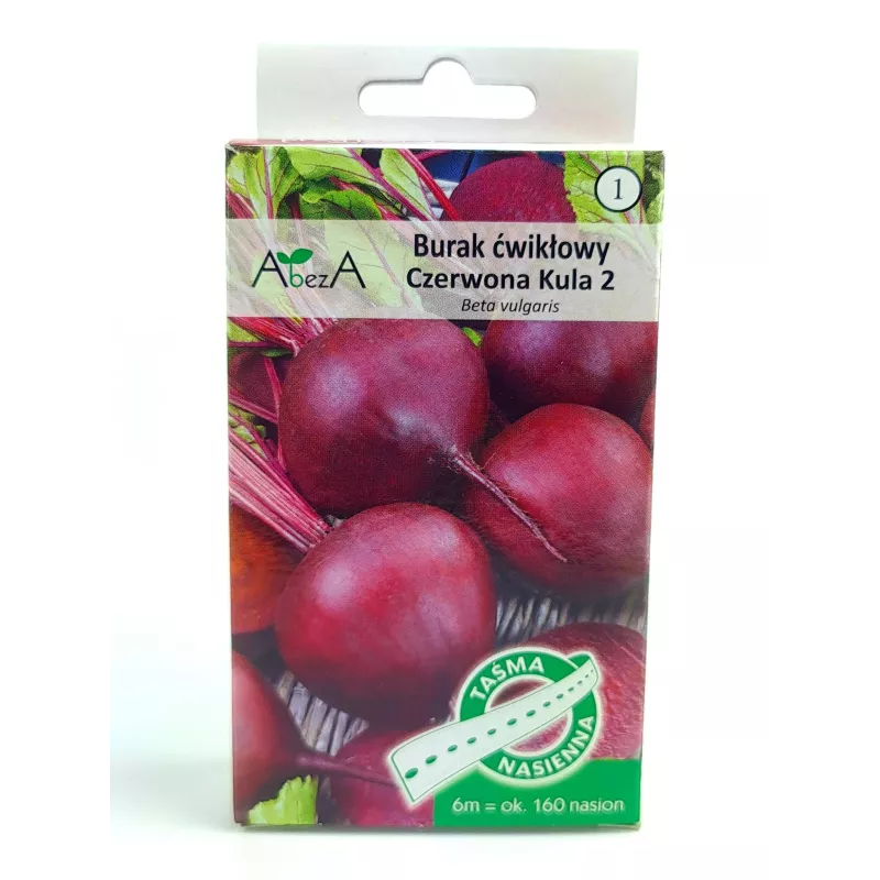 AbezA Burak ćwikłowy Czerwona Kula Taśma nasienna 6m karton duża zawartość cukru kulisty kształt