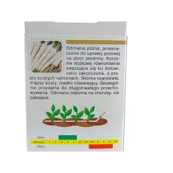 AbezA Pietruszka korzeniowa Berlińska Halblange późna Taśma nasienna 6m karton podłóżna aromatyczna