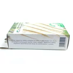 AbezA Pietruszka korzeniowa Berlińska Halblange późna Taśma nasienna 6m karton podłóżna aromatyczna