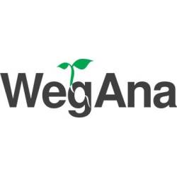 WegAna